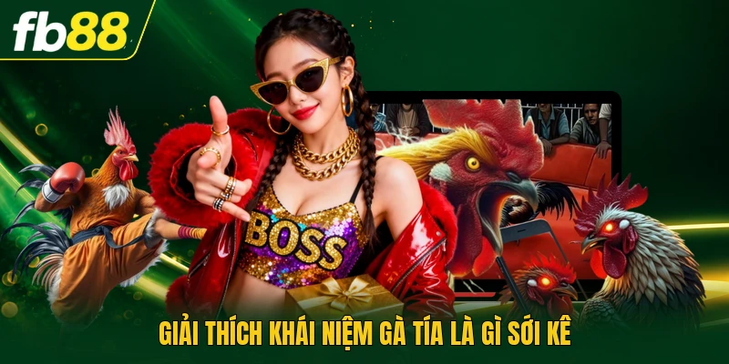 Gà Tía Là Gì? - Giống Này Sở Hữu Những Đặc Điểm Nào? 1 Giải thích khái niệm gà tía là gì sới kê