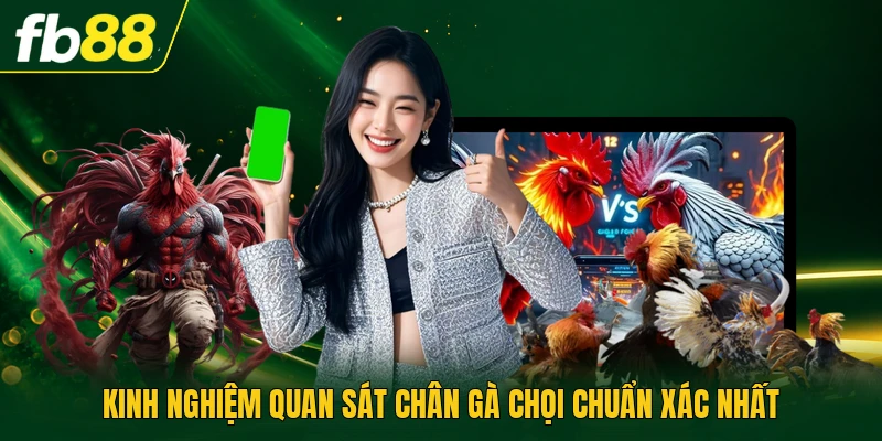 Vảy Gà Chọi Xấu Phân Tích Các Đặc Điểm Khiếm Khuyết Chuẩn 3 Kinh nghiệm quan sát chân gà chọi chuẩn xác nhất