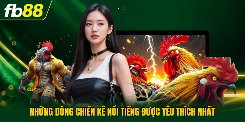 Những dòng chiến kê nổi tiếng được yêu thích nhất