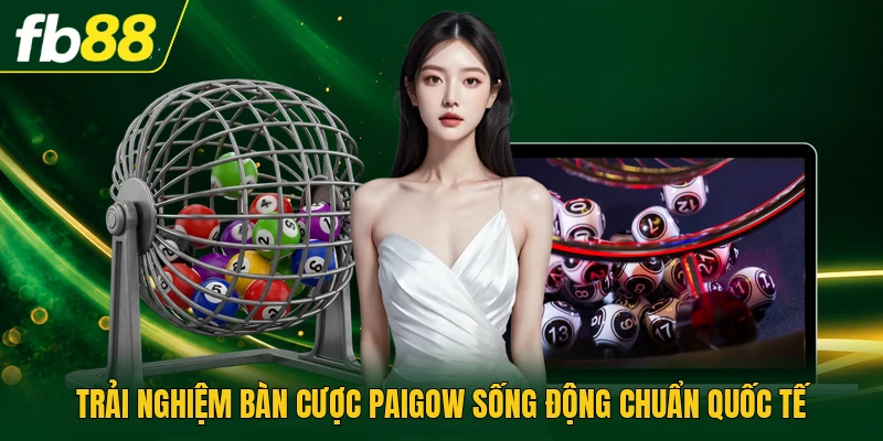 Trải nghiệm bàn cược paigow sống động chuẩn quốc tế